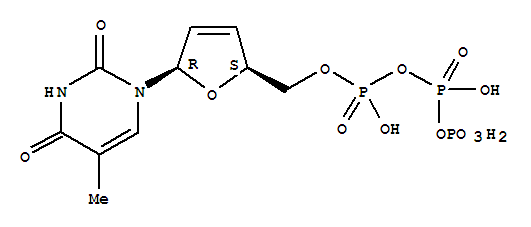 Structure of 2,3-dideoxy-2,3-dehydrothymidine 5-triphosphate