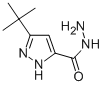 Structure of 3-(tert-Butyl)-1H-pyrazole-5-carbohydrazide