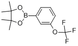 Structure of 3-(TRIFLUOROMETHOXY)PHENYLBORONIC ACID, PINACOL ESTER