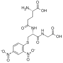 Structure of S-(2,4-Dinitrophenyl)-Glutathione