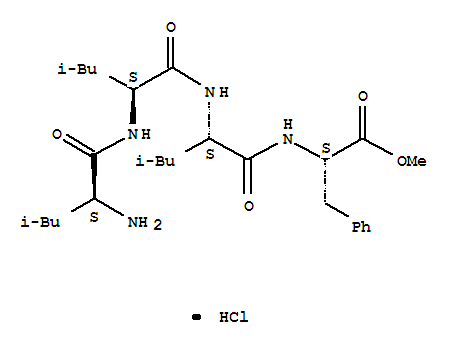 Structure of methyl leucylleucylleucylphenylalaninate
