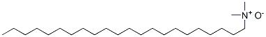 Structure of N,N-dimethyldocosylamine N-oxide