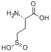 Structure of L-HOMOCYSTEINESULFINIC ACID