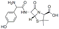 Structure of L-Amoxicillin