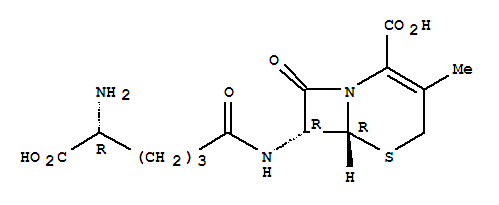 Structure of deacetoxycephalosporin C