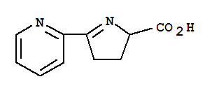 Structure of 2H-Pyrrole-2-carboxylic acid, 3,4-dihydro-5-(2-pyridinyl)- (9CI)