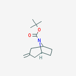 Tert-butyl 3-methylidene-8-azabicyclo[3.2.1]octane-8-carboxylate结构式