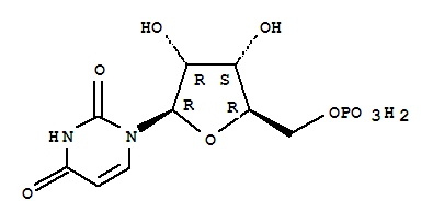 Structure of Polyuridylic acid potassium salt