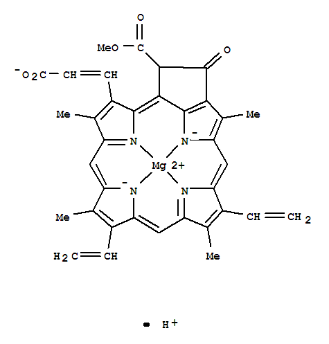 Structure of CHLOROPHYLL C2