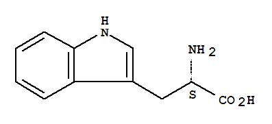 Structure of (C11H10N2O)n+H2O