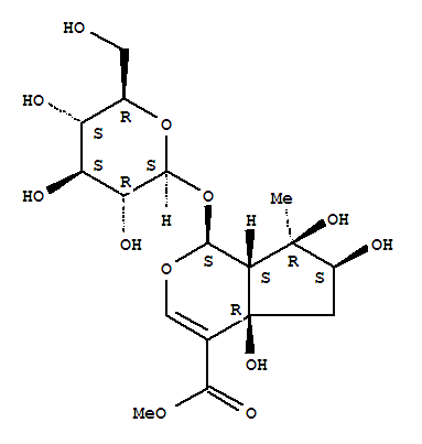 Structure of (1S)-1,4a,5,6,7,7aα-Hexahydro-1-(β-D-glucopyranosyloxy)-4aα,6α,7α-trihydroxy-7-methylcyclopenta[c]pyran-4-carboxylic acid methyl ester