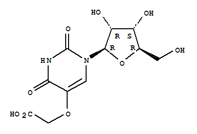 Structure of 5-(carboxymethoxy)uridine