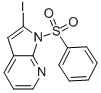 Structure of 2-iodo-1-(phenylsulfonyl)-1H-pyrrolo[2,3-b]pyridine