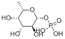 Structure of 6-DEOXY-BETA-L-GALACTOSE PHOSPHATE DI(CYCLOHEXYLAMMONIUM SALT)