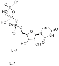 Structure of URIDINE-13C9, 15N2-5 TRIPHOSPHATE SODI U