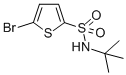 Structure of 5-Bromo-N-tert-butyl-2-thiophenesulfonamide