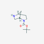tert-butyl 2,6-diaza-bicyclo[3.2.1]octane-2-carboxylate结构式