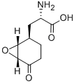 Structure of anticapsin