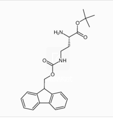 Structure of 4-N-(9-fluorenylmethyloxycarbonyl)-L-2,4-diaminobutyric acid tert-butyl ester