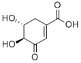 Structure of (-)-3-DEHYDROSHIKIMIC ACID