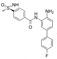 Structure of TNG260