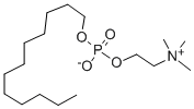 Structure of DODECYL PHOSPHOCHOLINE