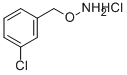 Structure of 1-[(AMMONIOOXY)METHYL]-3-CHLOROBENZENE CHLORIDE