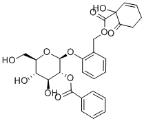 Structure of 10 x 5 Mg