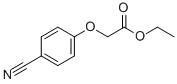 Structure of (4-cyanophenoxy)-aceticaciethylester