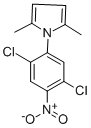 Structure of 1-(2,5-DICHLORO-4-NITROPHENYL)-2,5-DIMETHYL-1H-PYRROLE