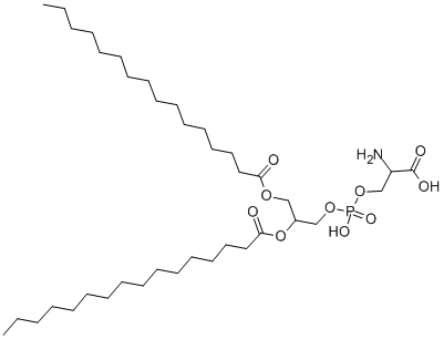 Structure of RAC-1 2-DIPALMITOYLGLYCERO-3-PHOSPHO-
