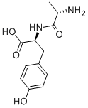 Structure of L-ALANYL-L-TYROSINE