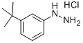 Structure of 1-[3-(TERT-BUTYL)PHENYL]HYDRAZINE HYDROCHLORIDE