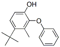 Structure of t-BUTYL METHYLPHENOXY PHENOL