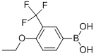 Structure of 4-ETHOXY-2-(TRIFLUOROMETHYL)BENZENEBORONIC ACID