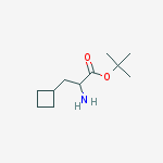 tert-butyl 2-amino-3-cyclobutylpropanoate结构式