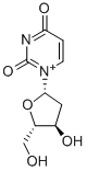 Structure of BETA-L-2-DEOXYURIDINE