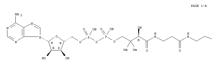 Structure of acetyl-dephospho-CoA
