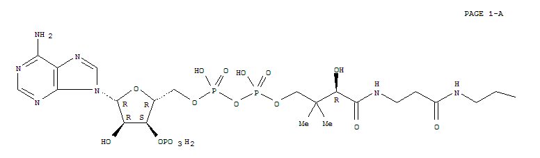 Structure of coenzyme A disulfide