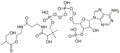(S)-3-Hydroxyisobutyryl-CoA结构式