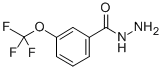 Structure of 3-(TRIFLUOROMETHOXY)BENZHYDRAZIDE