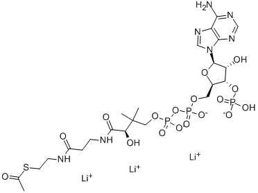Structure of ACETYL COENZYME A (C2:0) LITHIUM