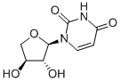 2,4(1H,3H)-Pyrimidinedione,1-[(2R,3R,4S)-tetrahydro-3,4-dihydroxy-2-furanyl]-结构式