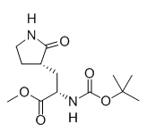 Structure of Methyl (S)-2-(Boc-amino)-3-[(S)-2-oxo-3-pyrrolidinyl]propanoate