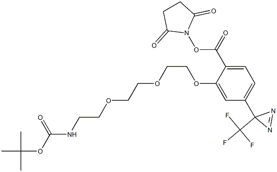 Structure of [2-[2-[2-[2-[[(2,5-Dioxo-1-pyrrolidinyl)oxy]carbonyl]-5-[3-(trifluoromethyl)-3H-diazirin-3-yl]phenoxy]ethoxy]ethoxy]ethyl]-carbamic acid 1,1-dimethylethyl ester