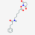 Structure of N-Dihydrocinnamoylaminocaproic Acid, N-Hydroxysuccinimide Ester