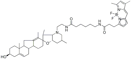 Structure of BODIPY CYCLOPAMINE