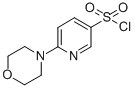 Structure of 6-MORPHOLIN-4-YL-PYRIDINE-3-SULFONYL CHLORIDE