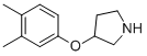 Structure of 3-(3,4-DIMETHYLPHENOXY)PYRROLIDINE