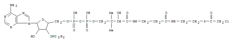Structure of chloroacetyl coenzyme A